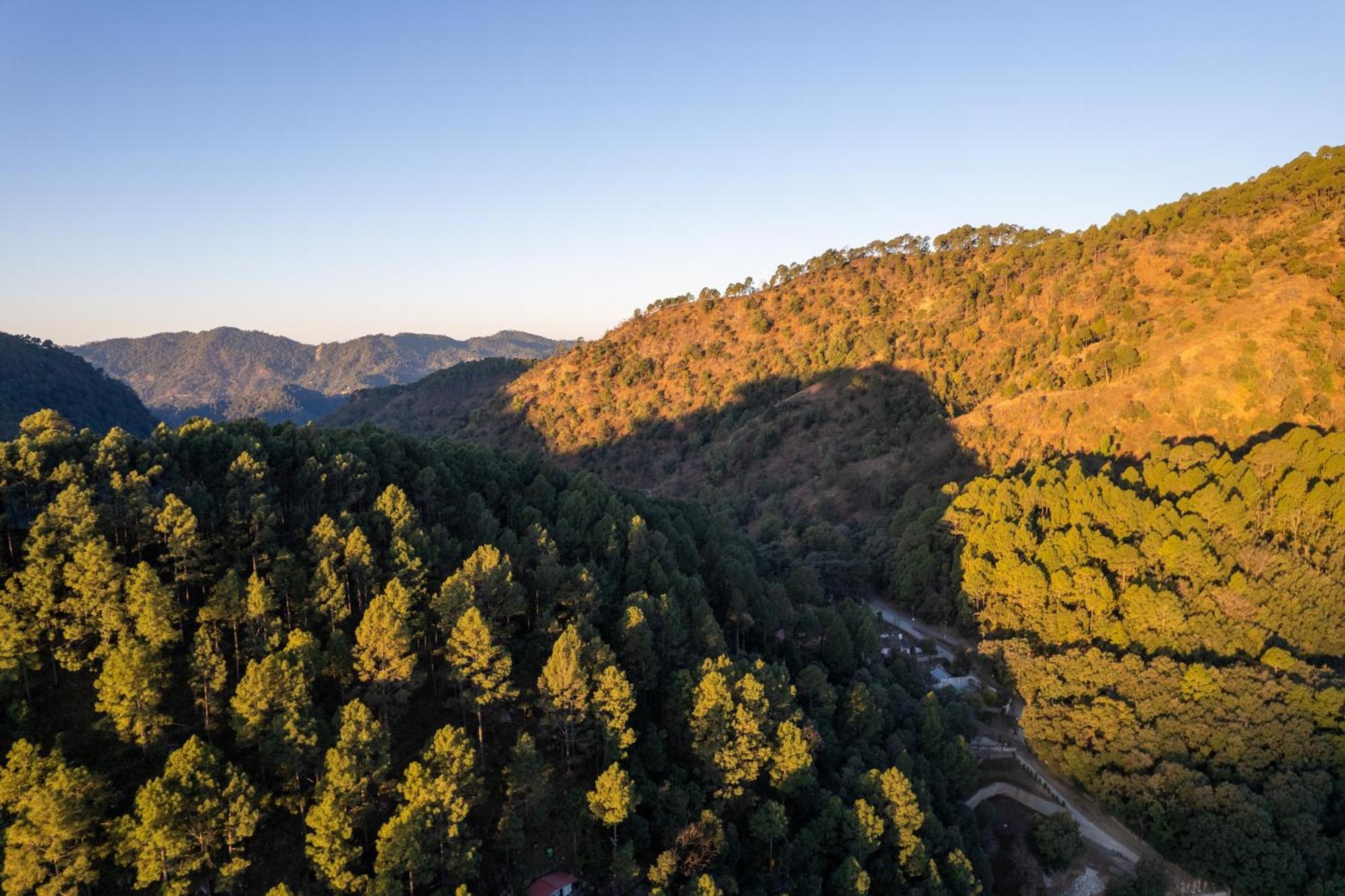 The Canadian Woods Resort Nainital Buitenkant foto